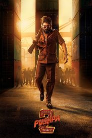 Pushpa 2 – The Rule (2024) Hindi WEB-DL H264 AAC 480p 720p 1080p [MovieHubBD] Watch & Download GDrive