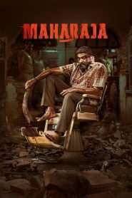 MovieHubBD.COM – Maharaja(2024) Hindi NF-WEB-DL H264 AAC 720p 1080p Watch & Download GDrive